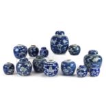 Thirteen Chinese blue and white porcelain ginger jars, some with covers, each hand painted with