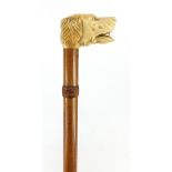 Malacca walking stick with carved ivory handle in the form of a dogs head, 91cm in length :For