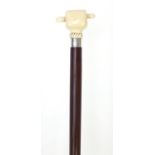 Snakewood walking stick with carved ivory pommel in the form of a sailors clenched fist, 84cm in