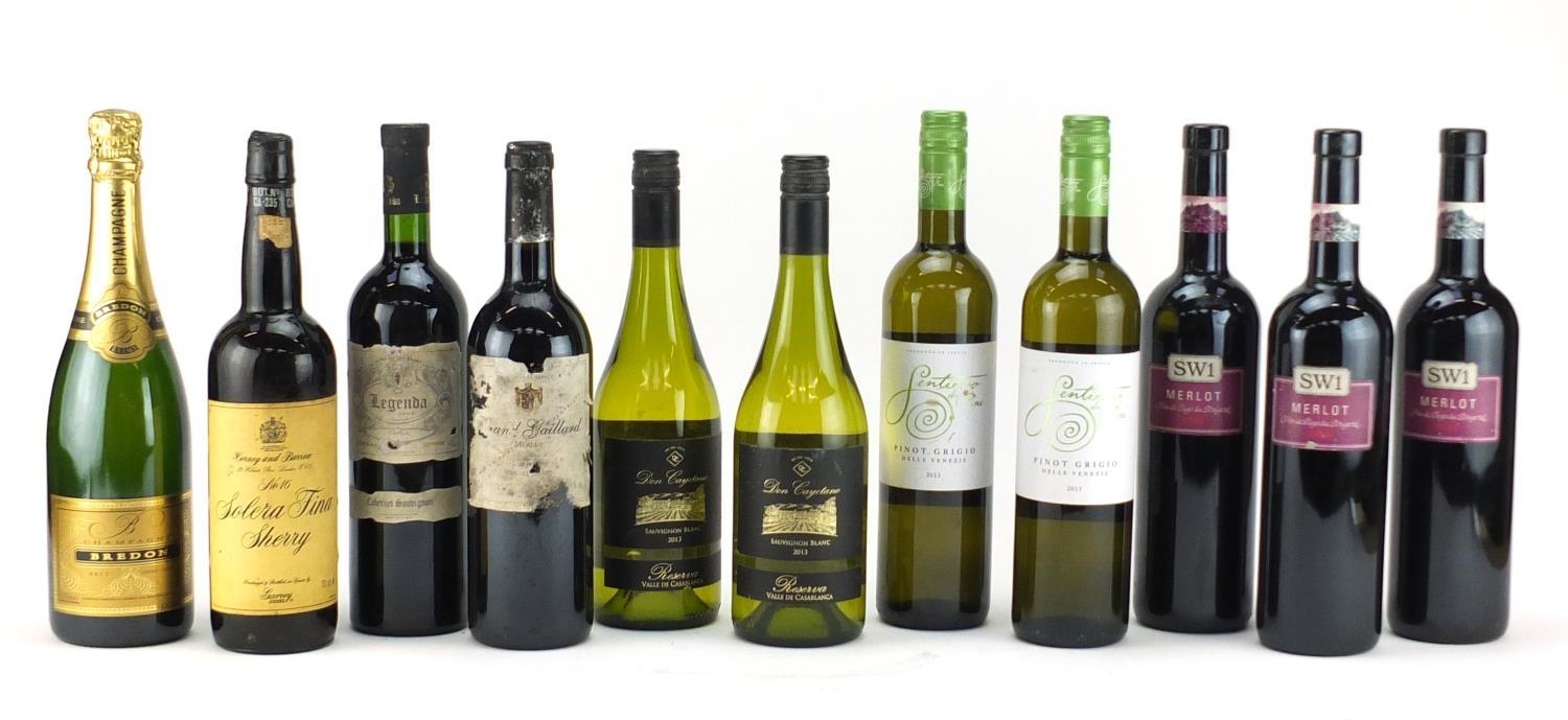Eleven bottle alcohol comprising a bottle of Corney and Barow sherry, Bredon Champagne, Merlot,