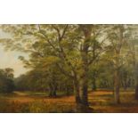 Richard Allam - New Forest, 19th century oil on canvas, framed, 60cm x 39cm :For Further Condition