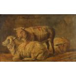 Attributed to Eugéne Joseph Verboeckhoven - Three sheep, 19th century oil on board, framed, 15cm x