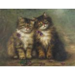 Adrignne Lester - Two cats with flowers, oil on canvas, details verso, framed, 44cm x 34cm :For