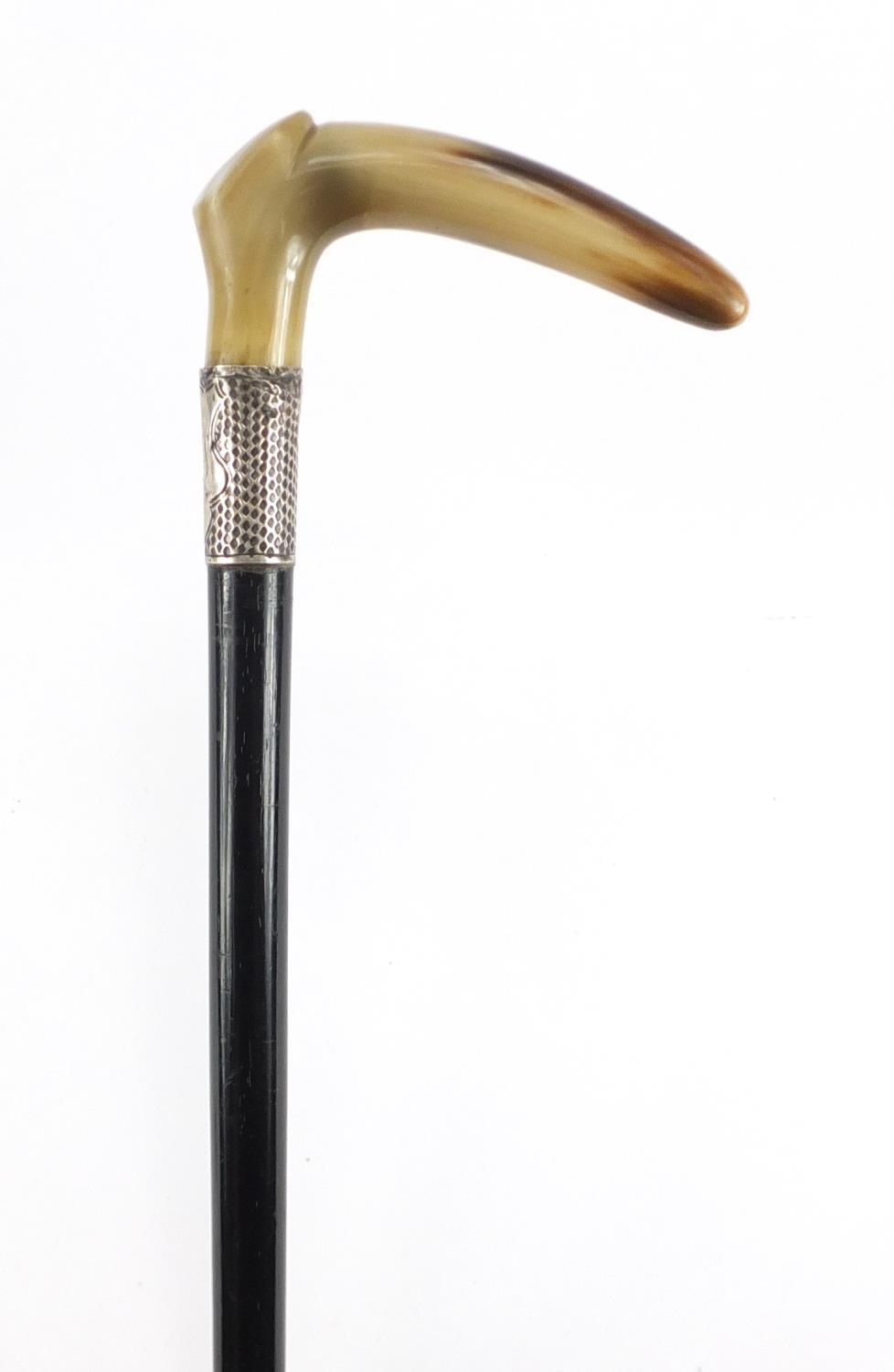 Horn handled walking stick with silver collar and ebony shaft, possibly rhinoceros horn, 92cm in