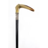 Horn handled walking stick with silver collar and ebony shaft, possibly rhinoceros horn, 92cm in