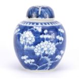 Chinese blue and white porcelain ginger jar and cover, hand painted with prunus flowers, blue ring