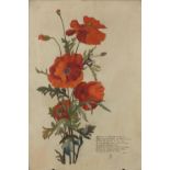 Still life poppies, Pre-Raphaelite oil on canvas, signed with monogram WB, dated 1891, unframed,