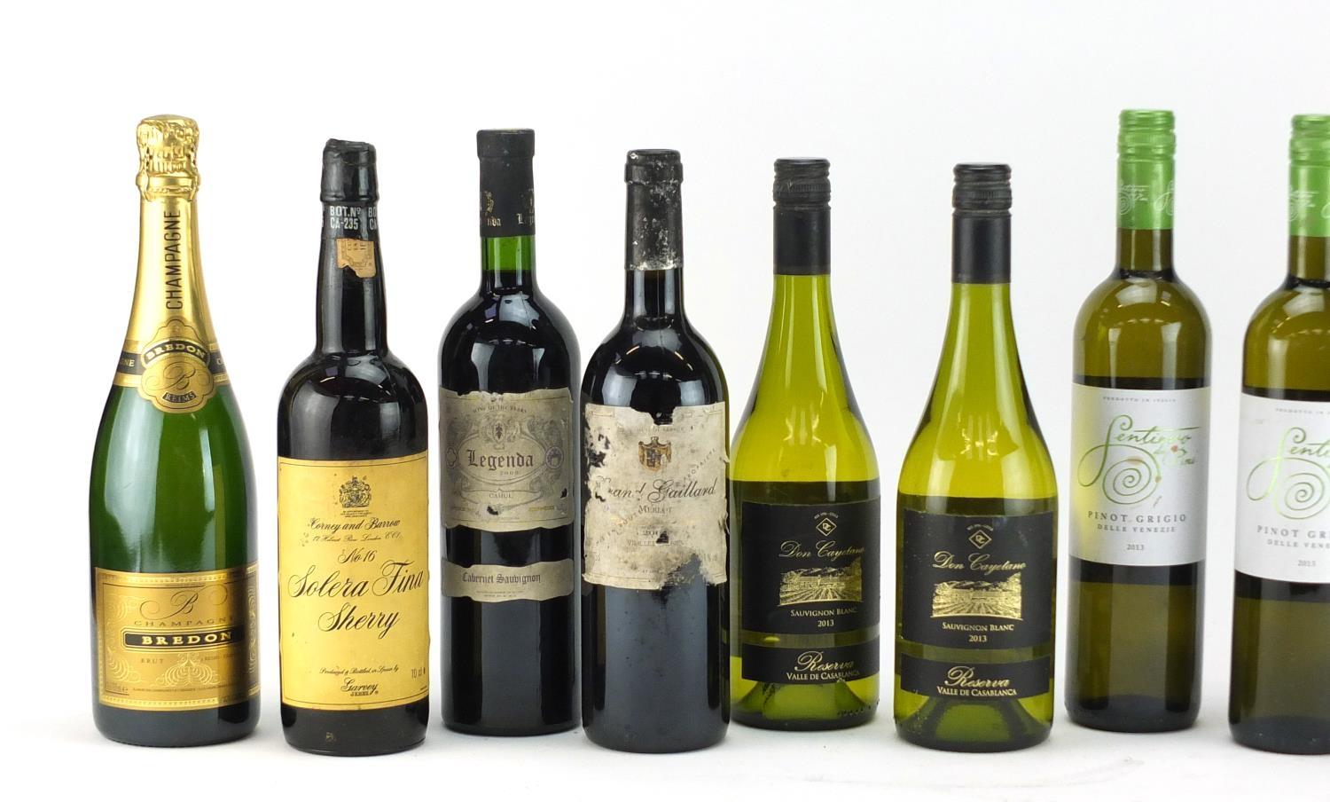 Eleven bottle alcohol comprising a bottle of Corney and Barow sherry, Bredon Champagne, Merlot, - Image 2 of 4