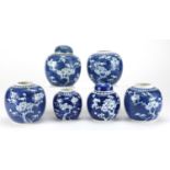 Six Chinese blue and white porcelain ginger jars, two with covers, each hand painted with prunus