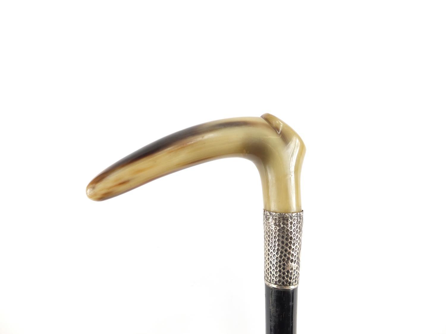 Horn handled walking stick with silver collar and ebony shaft, possibly rhinoceros horn, 92cm in - Image 4 of 8