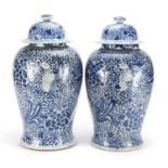 Large pair of Chinese blue and white porcelain jars and covers, hand painted with phoenixes and