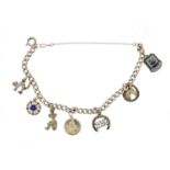 Silver charm bracelet with silver charms including enamelled flower, scared cat and good luck charm,