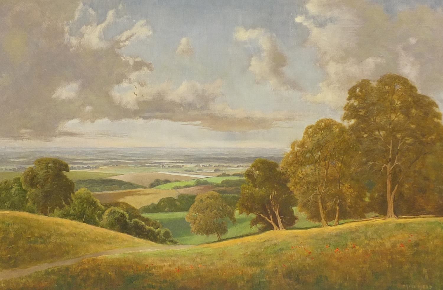 David Mead - Landscape, oil on canvas, inscribed verso, mounted and framed, 75cm x 50cm : For