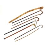 Group of wooden walking sticks, three with silver mounts and one eagle head Tipple walking stick :