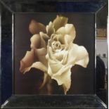 Contemporary white rose print with mirrored framed, overall 80cm x 80cm : For Further Condition