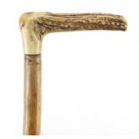 Naturalistic walking stick with horn handle, 81cm in length : For Further Condition Reports Please