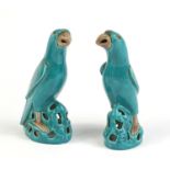 Pair of Staffs turquoise glazed parrots, 19cm high : For Further Condition Reports Please visit