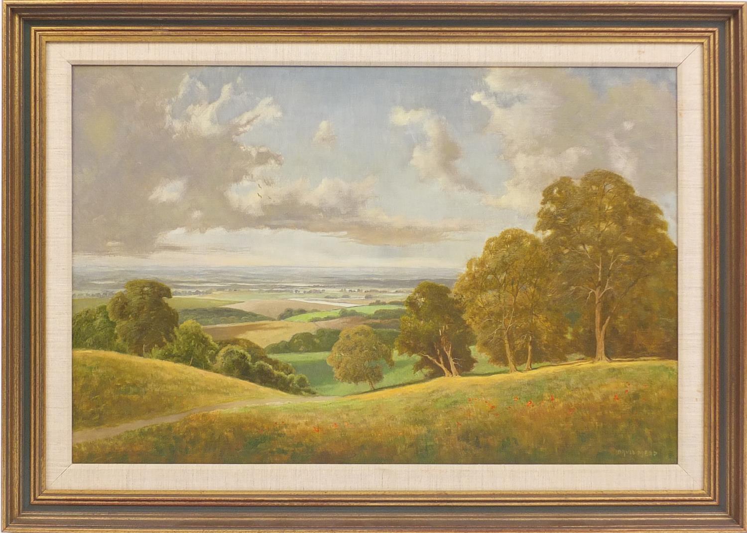 David Mead - Landscape, oil on canvas, inscribed verso, mounted and framed, 75cm x 50cm : For - Image 2 of 5