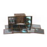 Vintage Japanese coloured glass slides : For Further Condition Reports Please visit our website - We