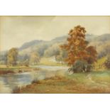 H Marten - Cattle beside a river, watercolour, mounted and framed, 36.5cm x 26cm : For Further