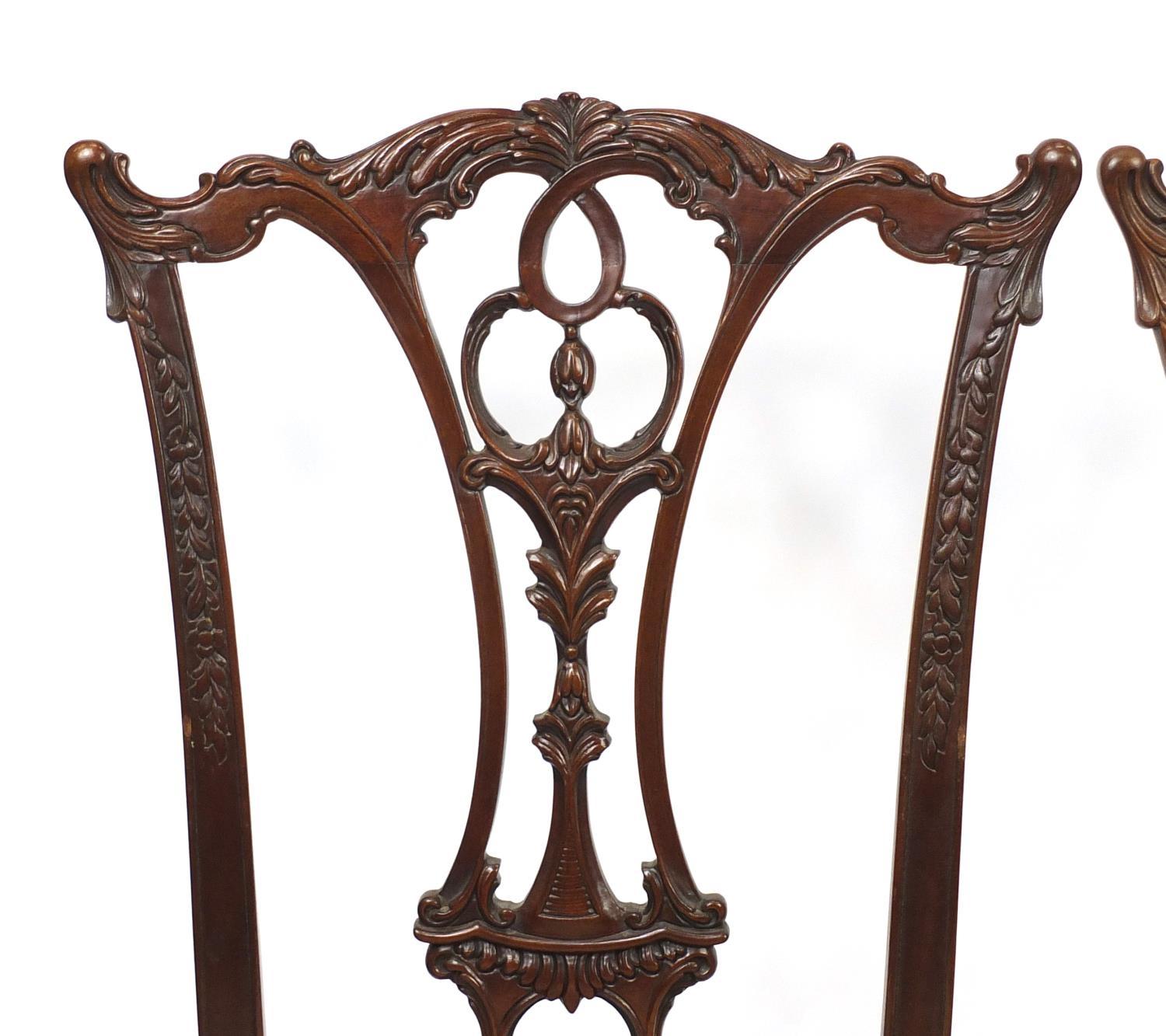 Set of eight Chippendale style mahogany chairs with drop in seats including two carvers, all - Image 13 of 15