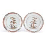 Pair of Chinese porcelain shallow dishes hand painted with pine trees, each 23cm in diameter : For