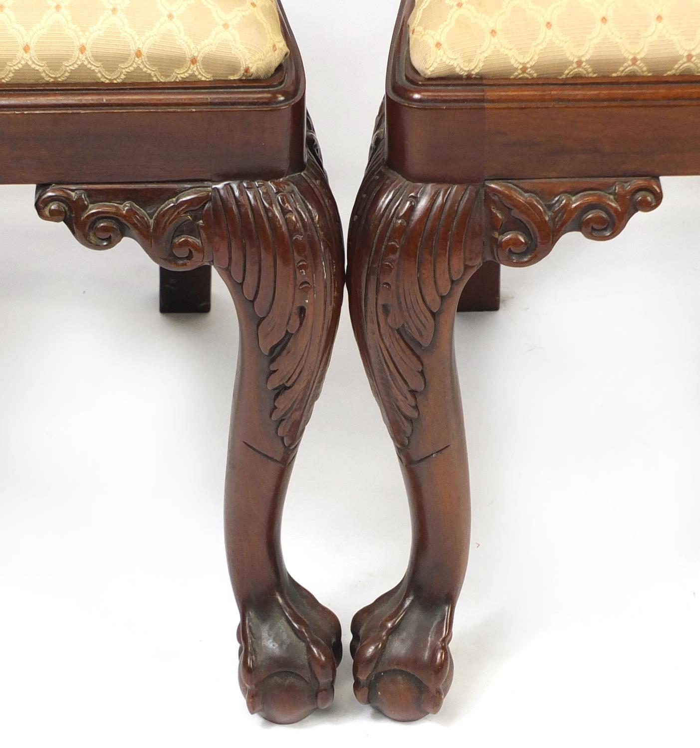 Set of eight Chippendale style mahogany chairs with drop in seats including two carvers, all - Image 14 of 15