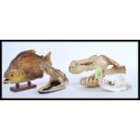 A selection of vintage 20th Century taxidermy science / natural history interest items to include