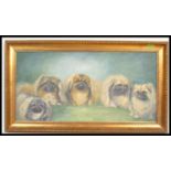 A 20th Century oil painting of five Pekingese dogs in front of a blue back ground within a gilt