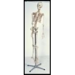 20TH CENTURY FULL SIZE COMPOSITE DOCTORS HOSPITAL SKELETON