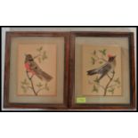Two 19th Century Victorian feathered pictures of birds featuring hand painted water colour details