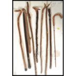 A collection of walking sticks to include blackthorn, rosewood and faux ivory etc, some with