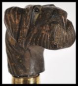 A malacca walking stick having a carved wooden dogs head knop / handle to the top with glass eyes.