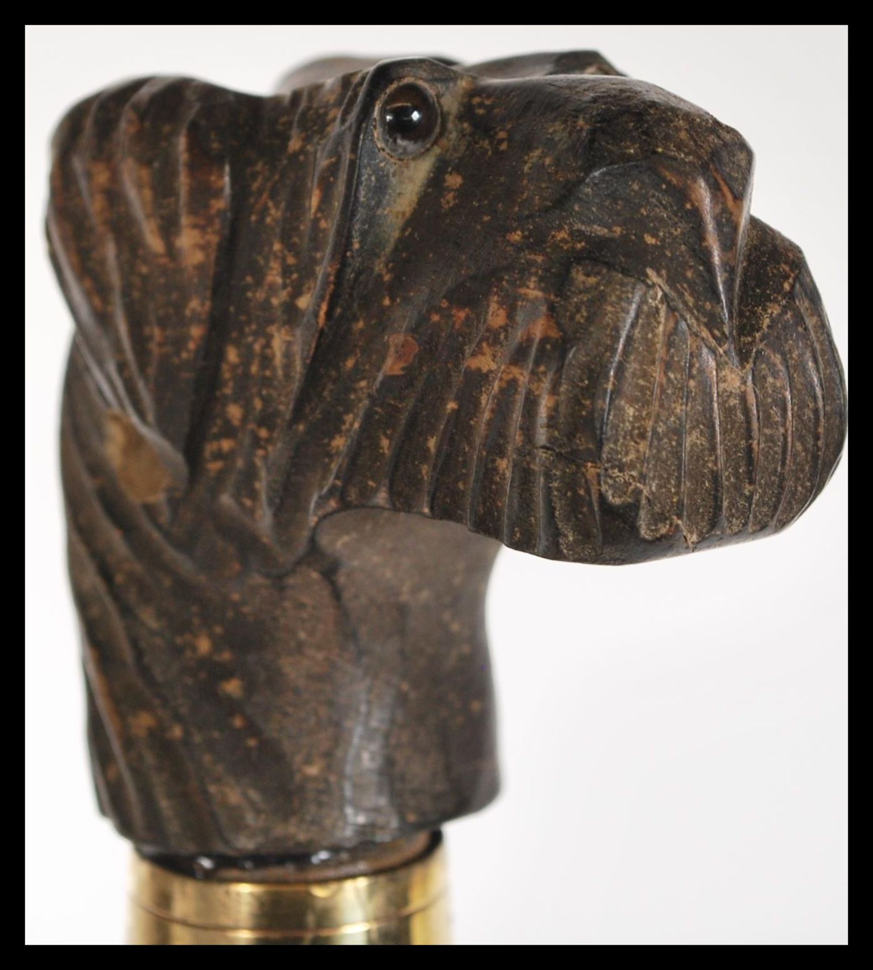 A malacca walking stick having a carved wooden dogs head knop / handle to the top with glass eyes.
