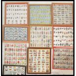 A selection of vintage cigarette cards in frames to include Player's 'Wild Animal's Heads', 'Gilbert