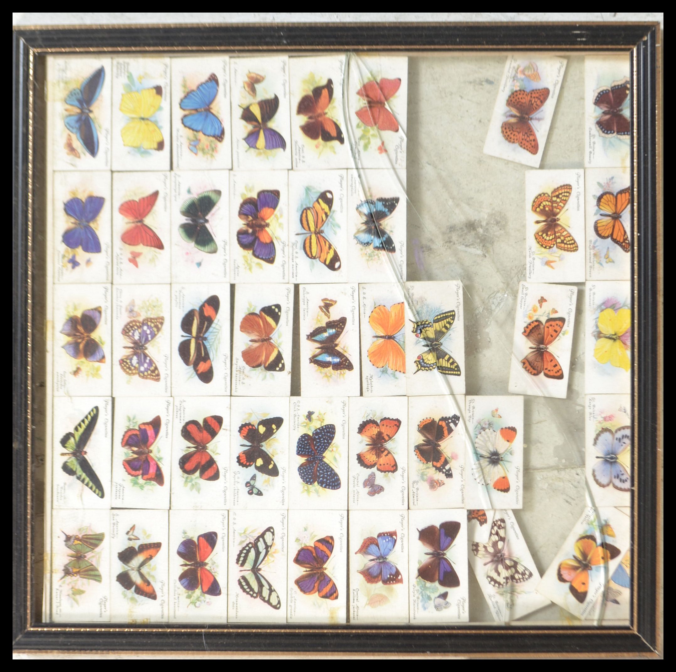 A selection of vintage cigarette cards in frames to include Player's 'Wild Animal's Heads', 'Gilbert - Image 5 of 11