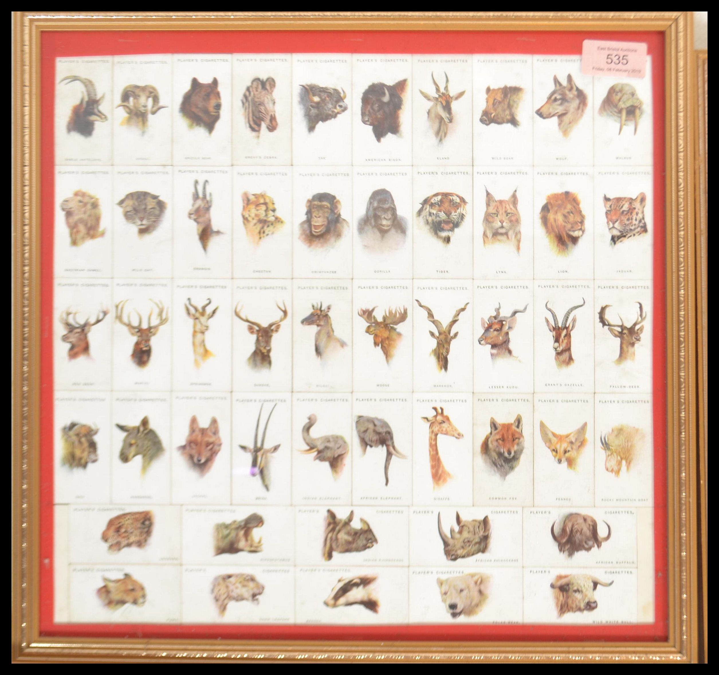 A selection of vintage cigarette cards in frames to include Player's 'Wild Animal's Heads', 'Gilbert - Image 2 of 11