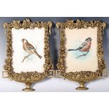 PAIR OF 19TH CENTURY WATERCOLOUR PAINTINGS AND GESSO FRAMES