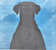 GIANNI PENATI - ITALIAN ' BLACK LABRADOR ' LIMITED NUMBERS PRINT