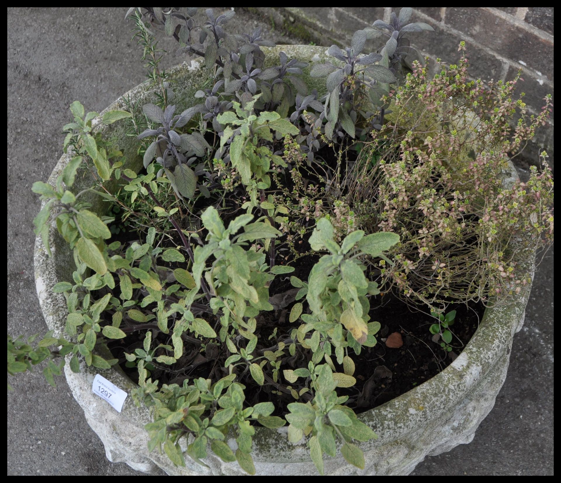 A vintage 20th century antique style reconstituted garden stone, the planter having human face - Bild 4 aus 4