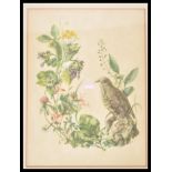 A collection of six vintage 20th Century framed bird prints each showing different species of bird