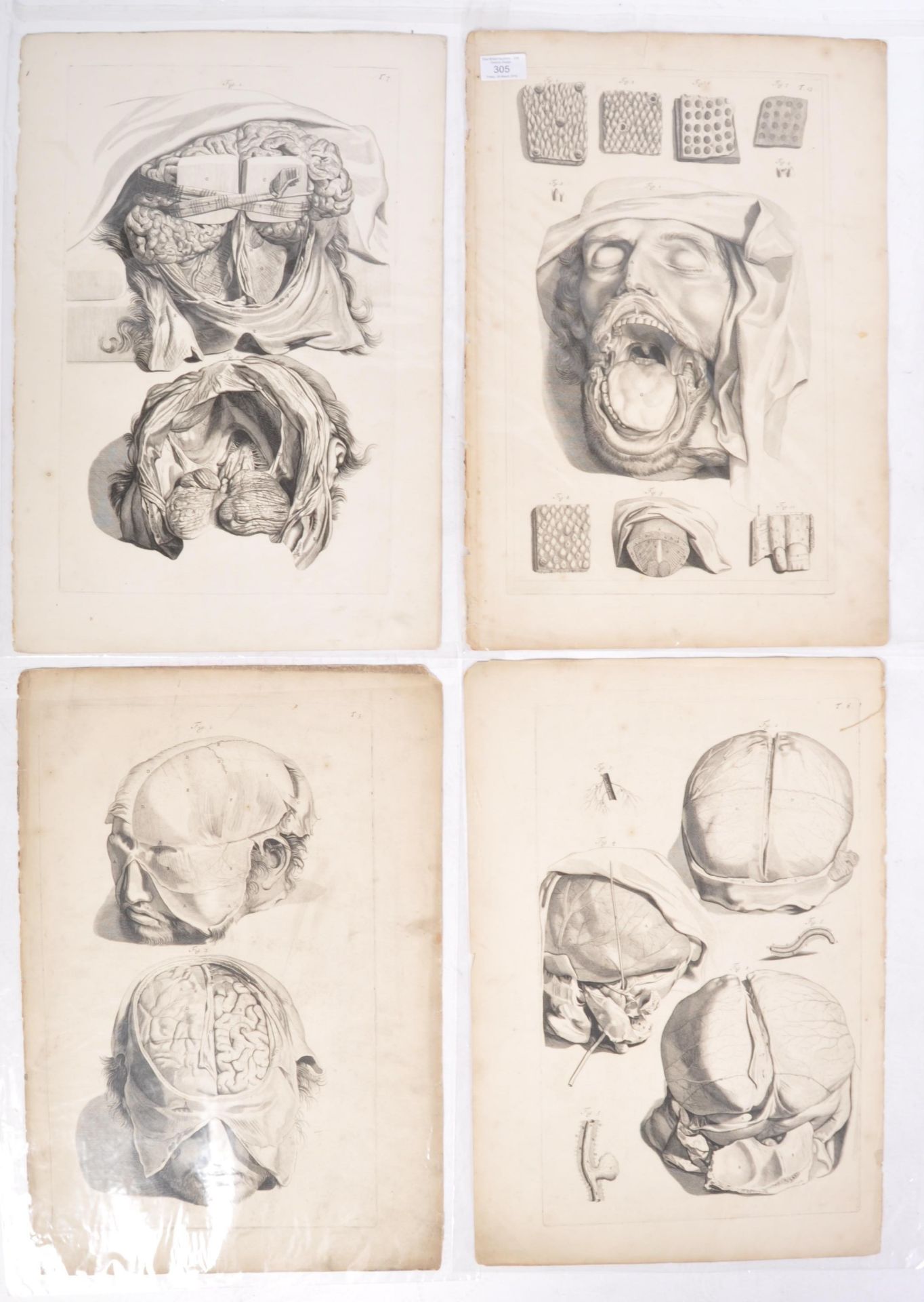 ABRAHAM BLOOTELING 17TH CENTURY ANATOMICAL DRAWINGS