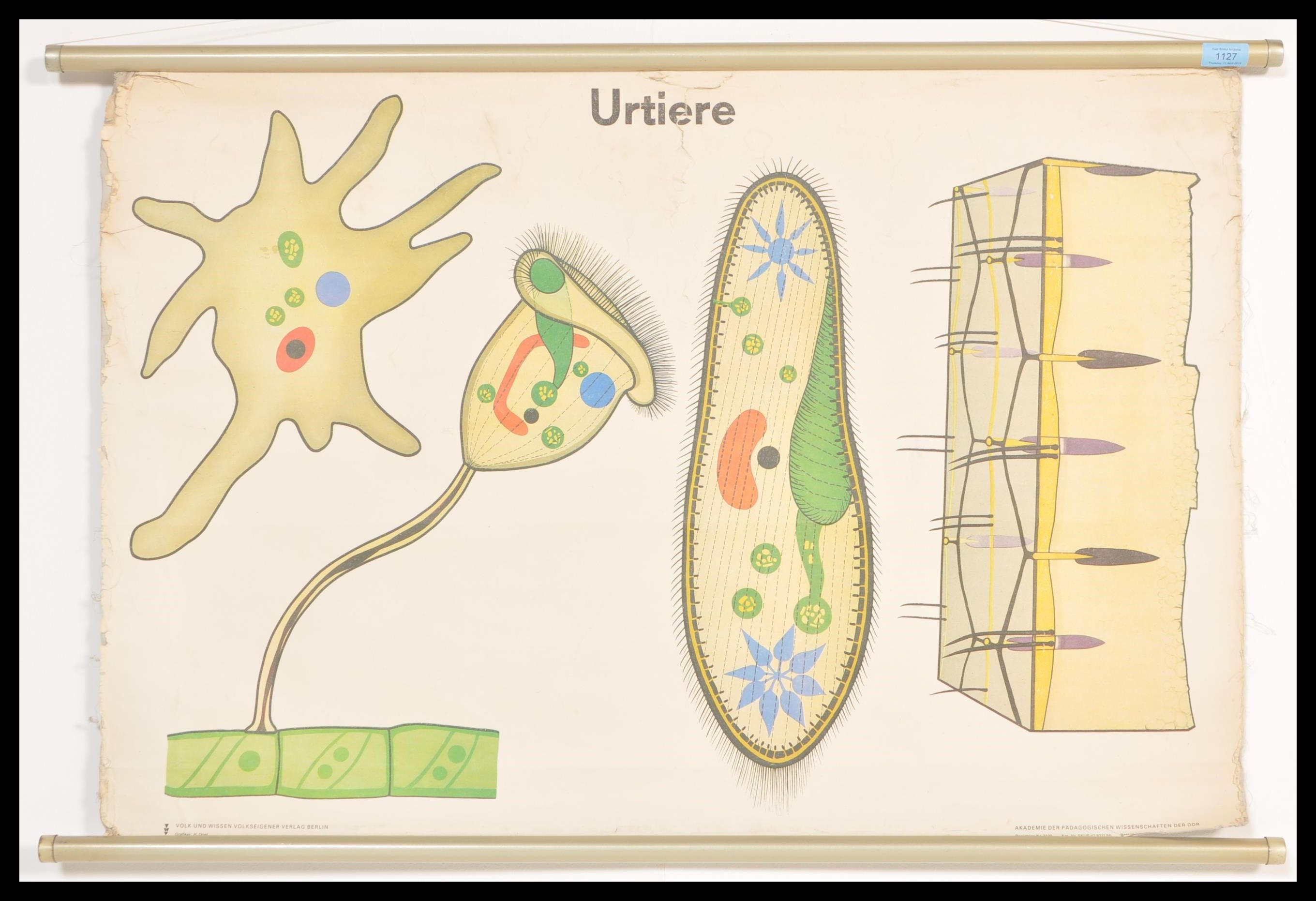 A vintage retro East German 1970's school poster entitled ' Urtiere ' featuring coloured diagrams of