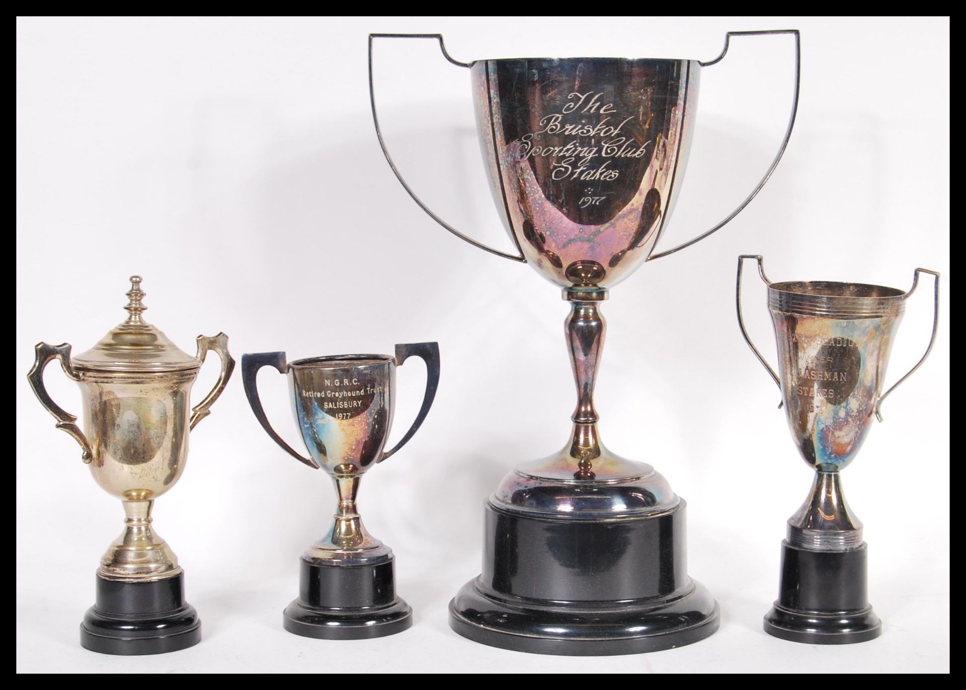 A collection of silver plated Greyhound racing related trophies to include a large trophy for the