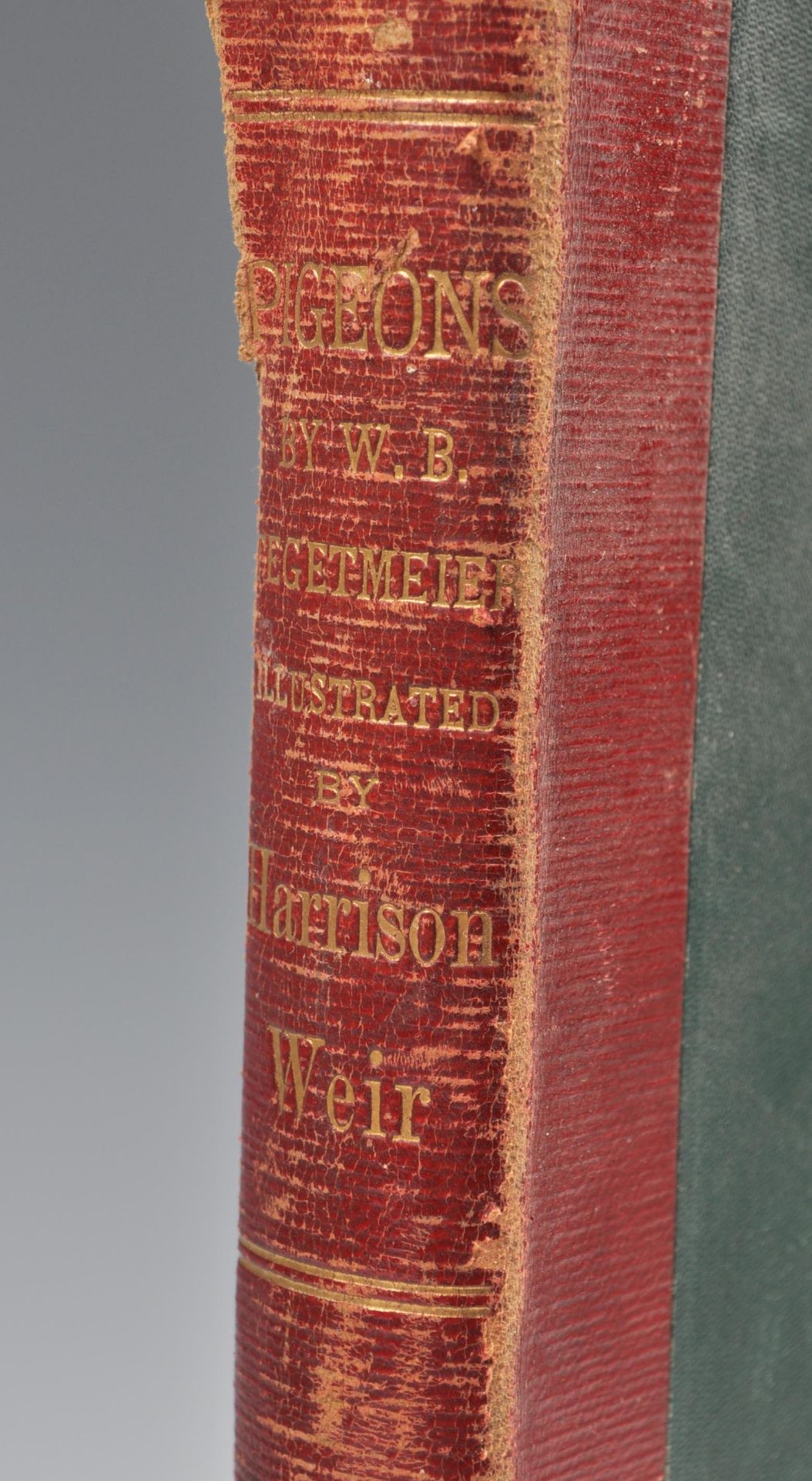 WB TEGETMEIER 1868 BOOK ON PIGEONS - COLOUR PLATES BY HARRISON - Bild 3 aus 8
