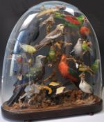 LARGE AUSTRALIAN TAXIDERMY EXOTIC BIRD DISPLAY IN GLASS DOME.