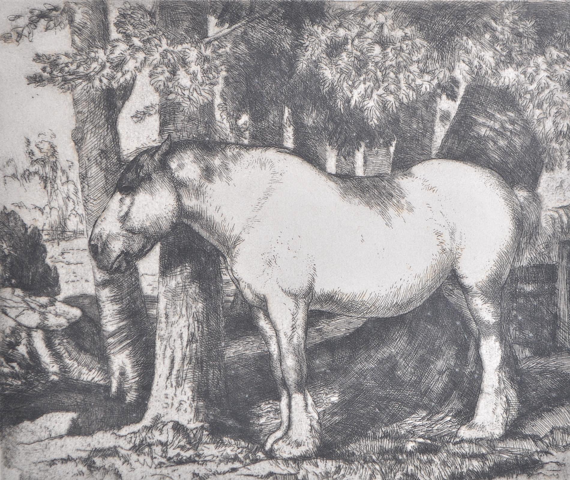 CHARLES FREDERICK TUNNICLIFFE ' THE WHITE HORSE'' ETCHING 34 / 75