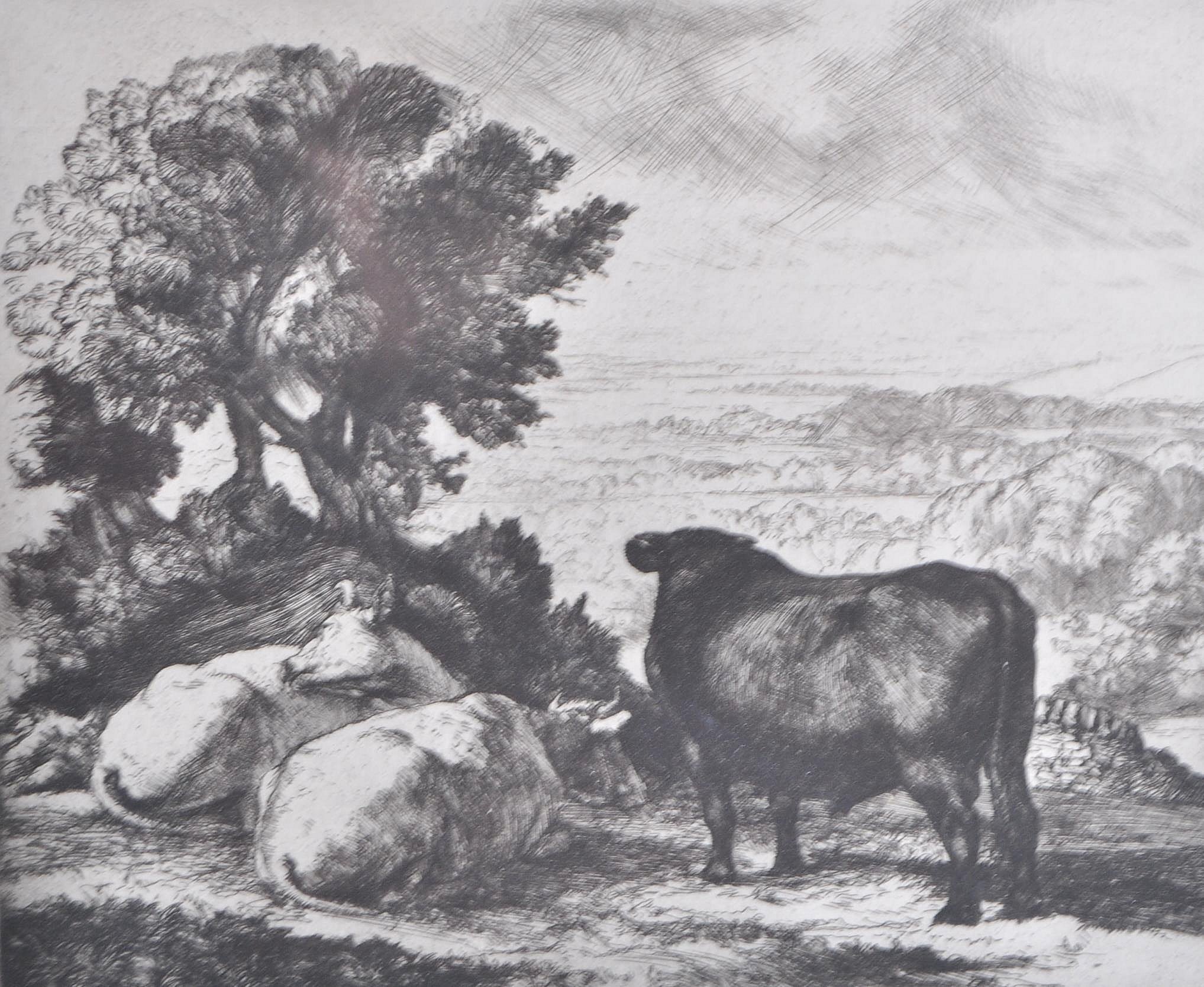 CHARLES FREDERICK TUNNICLIFFE ' THE CHESHIRE PLAIN' ETCHING 43 / 75