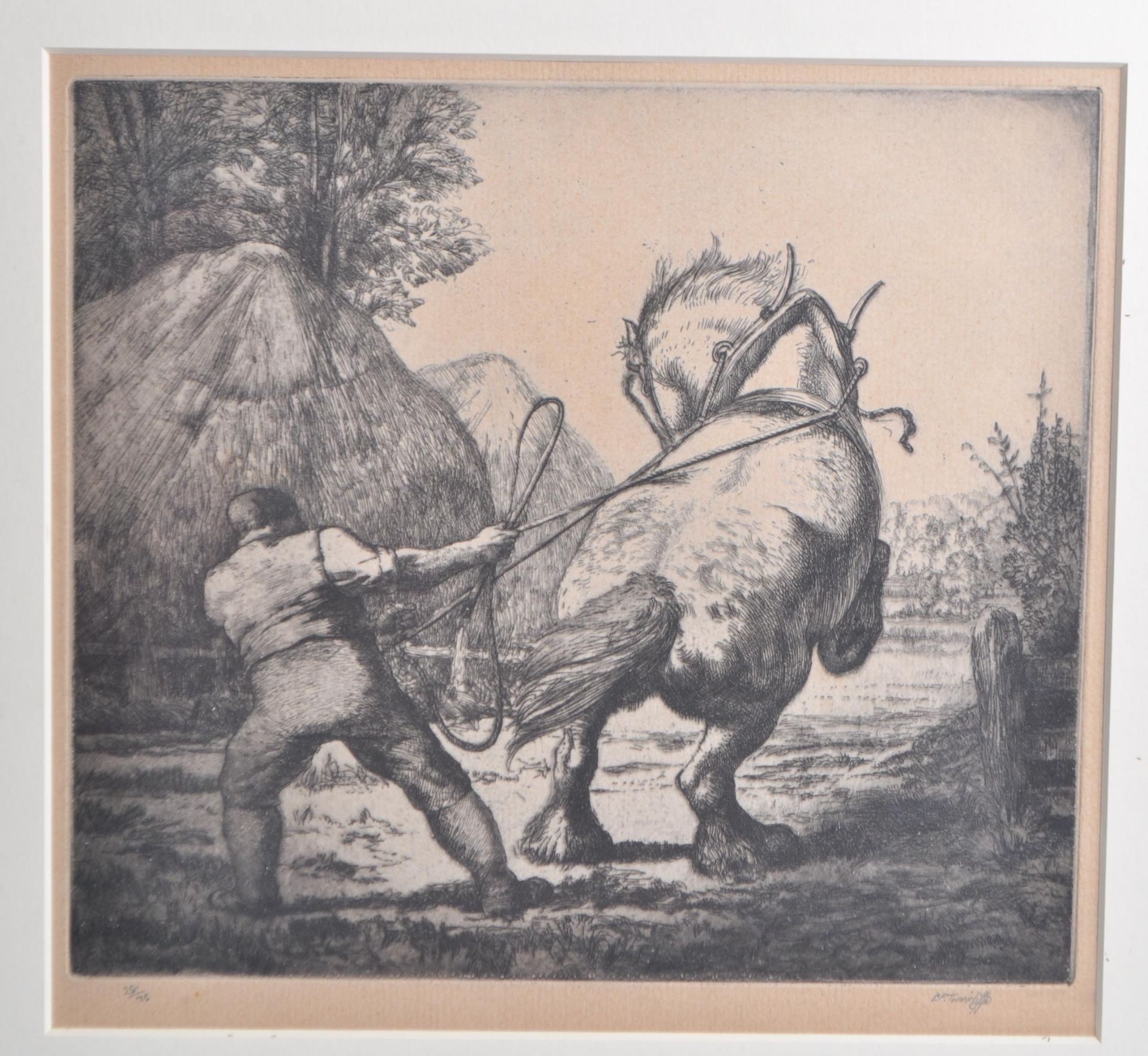 CHARLES FREDERICK TUNNICLIFFE ' THE COLT '' ETCHING 28 / 75 - Bild 3 aus 5