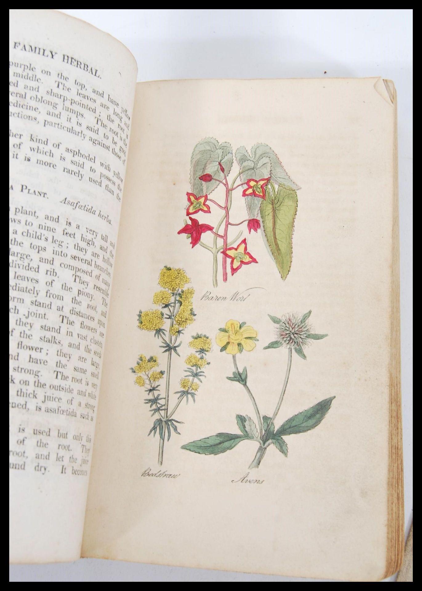 A collection of 19th Century literature to include a Victorian Family Herbal book having hand - Image 4 of 4